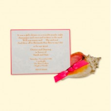 Seashell/Conch Card