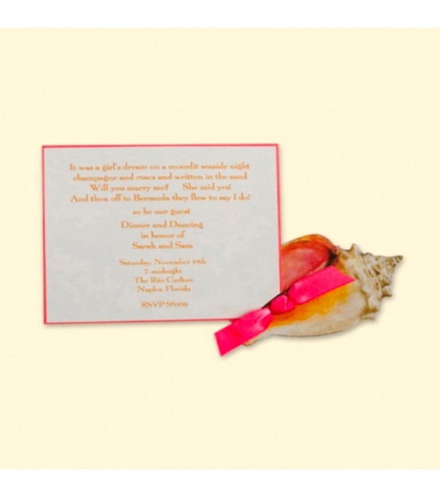 Seashell/Conch Card