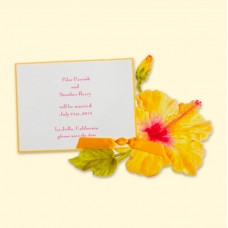 Hibiscus Card