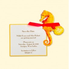 Seahorse Coral Card