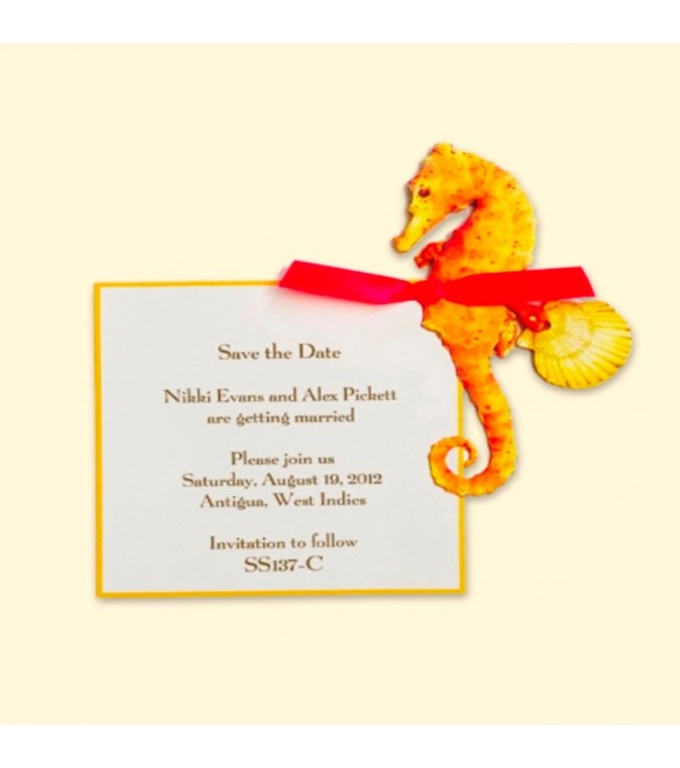 Seahorse Coral Card