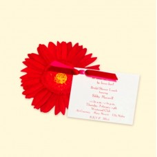 Red Gerber Daisy Card