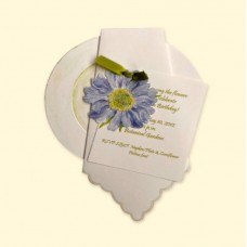 Napkin/Plate, Spring w/Cornflower